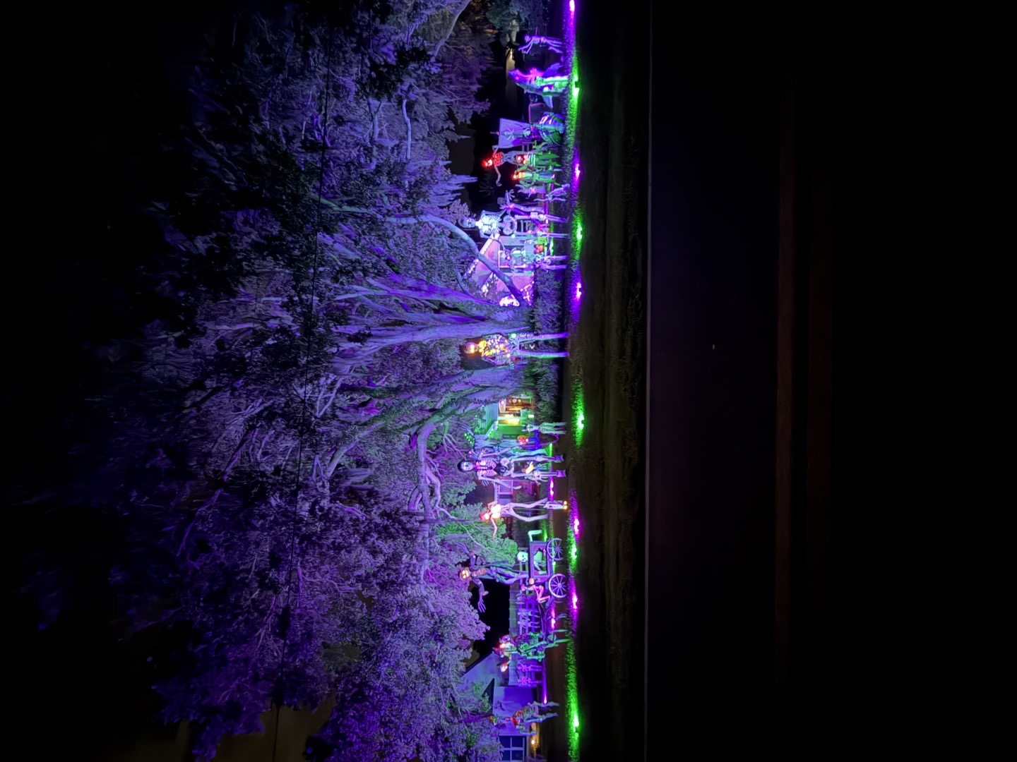 Haunted Yard in Winter Haven, Florida
