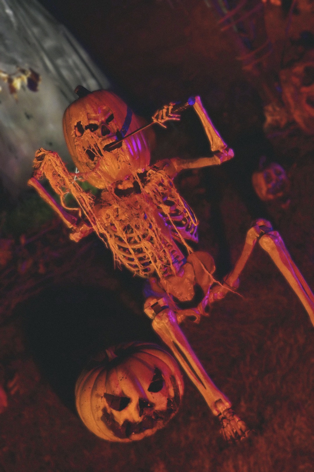 Witch of the Woods Productions — halloween haunt in Joliet, IL