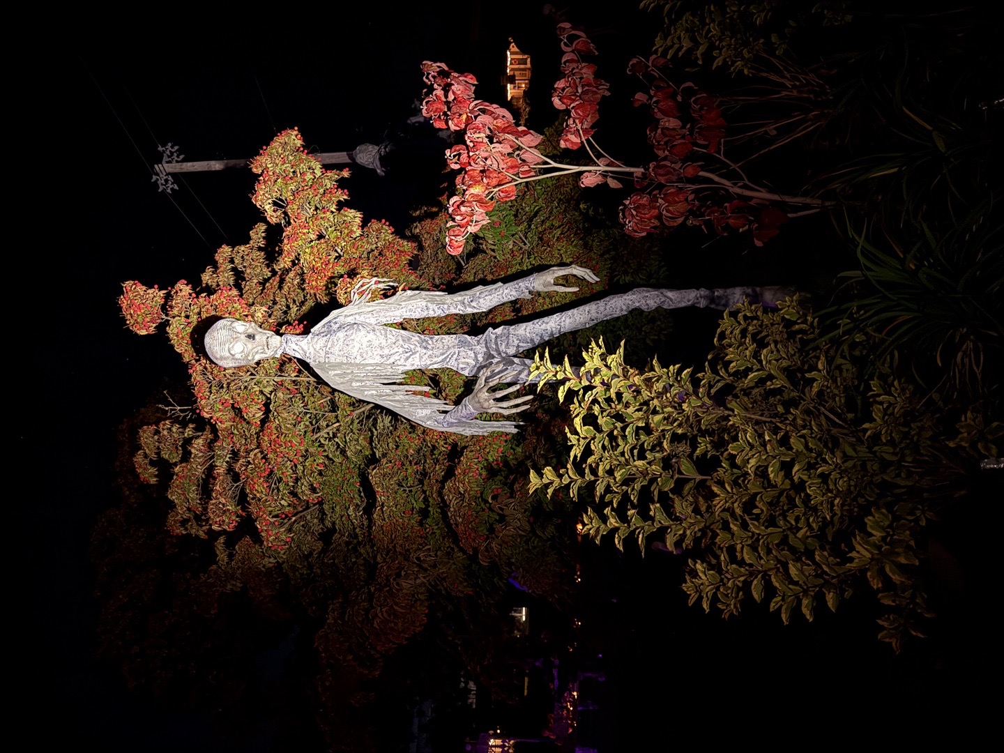 Runge Fright Night in Seekonk, MA