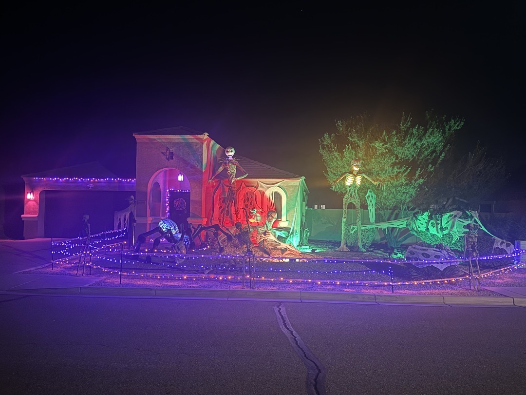 Skeleton Spider Takeover in San Tan Valley, AZ