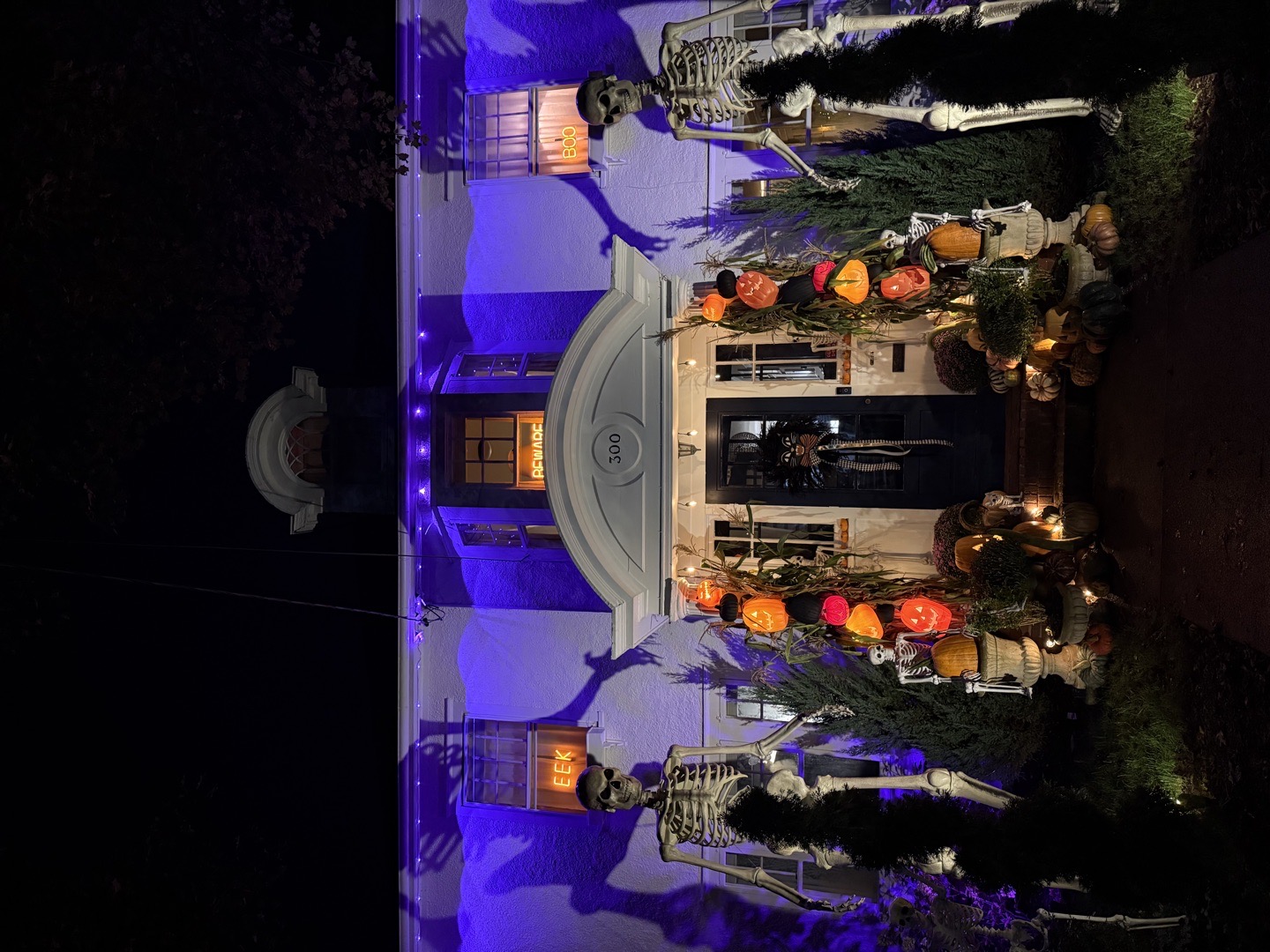 The Skeleton House in Syracuse, NY