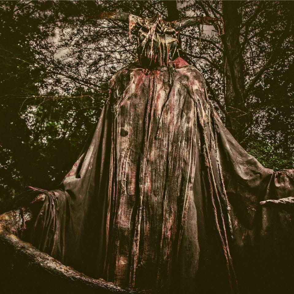 Creepy Hollow Woods