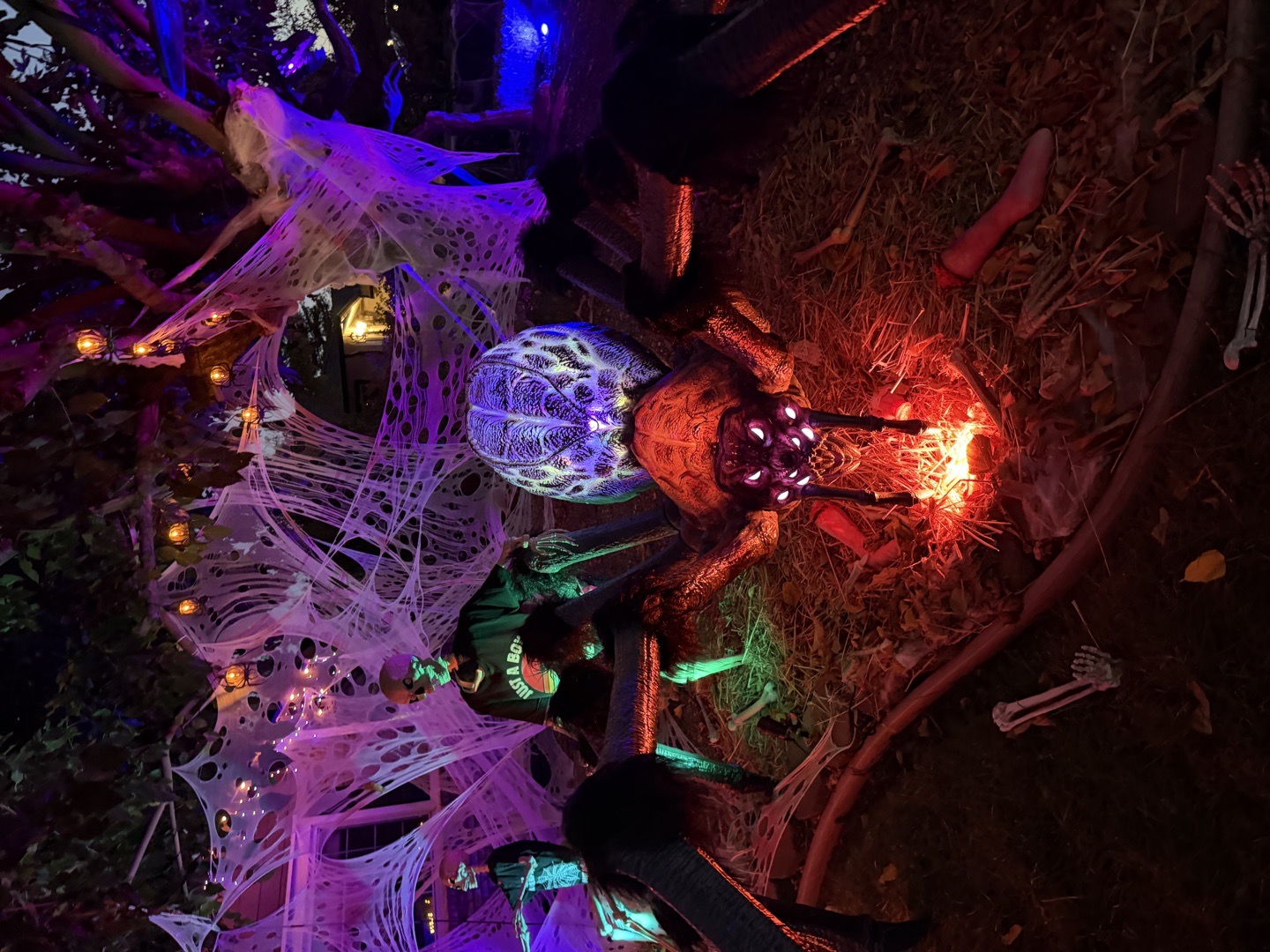 Spooky Spider Celebration Halloween Haunt in Vacaville, California