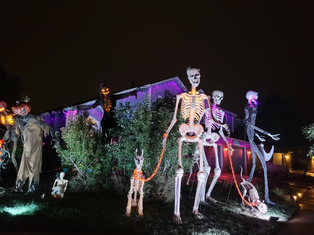 Towering Yard of Bones Halloween Display in Colorado Springs, Colorado