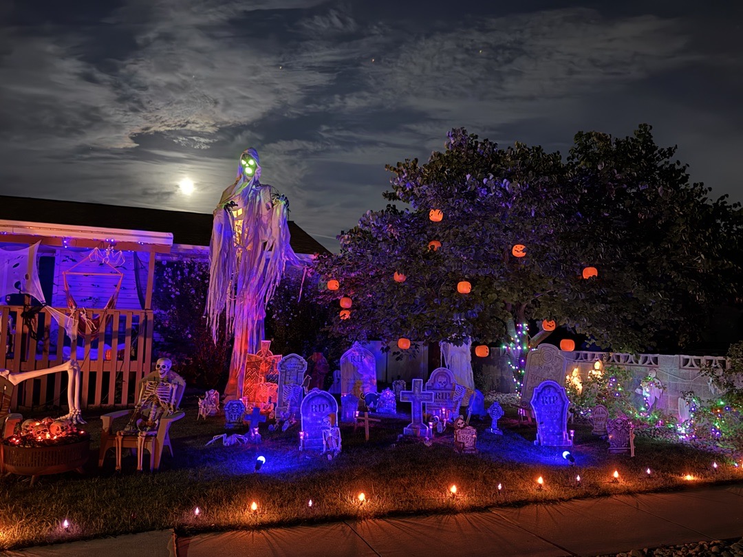 Skeleton Graveyard