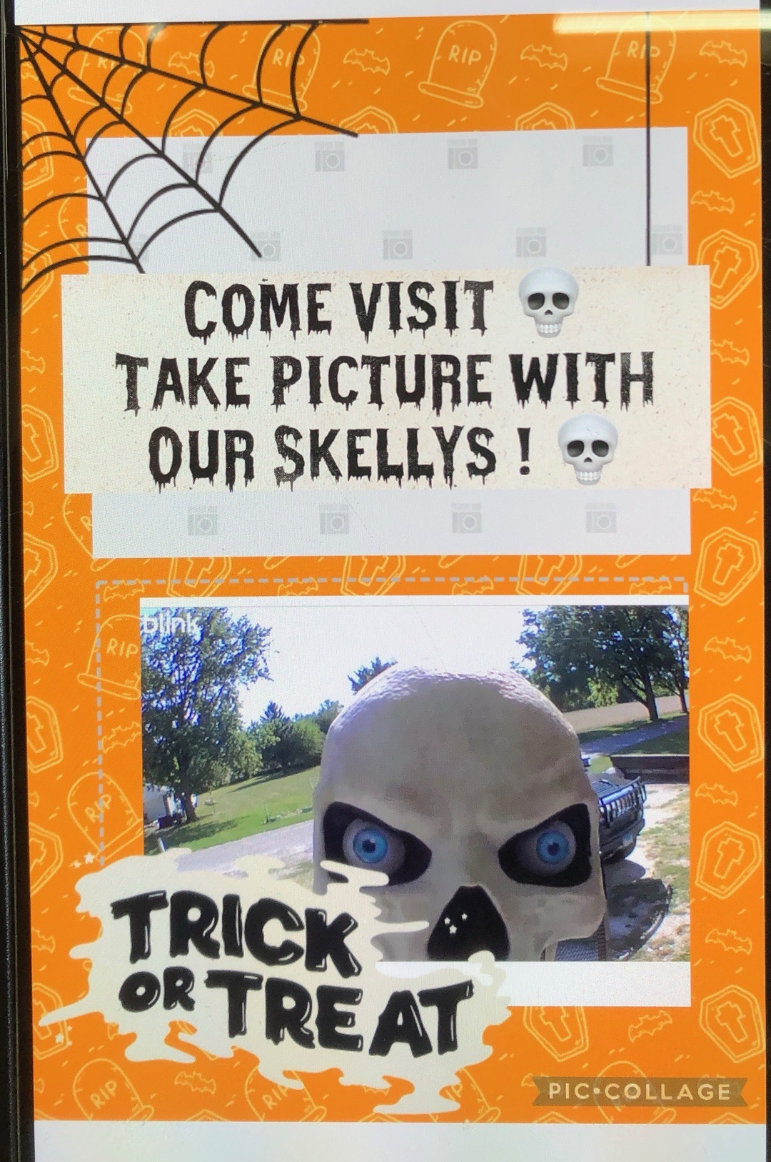 Skelly House in Verona, IL