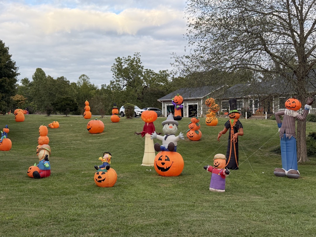 HallowHarvest in Summerfield, NC