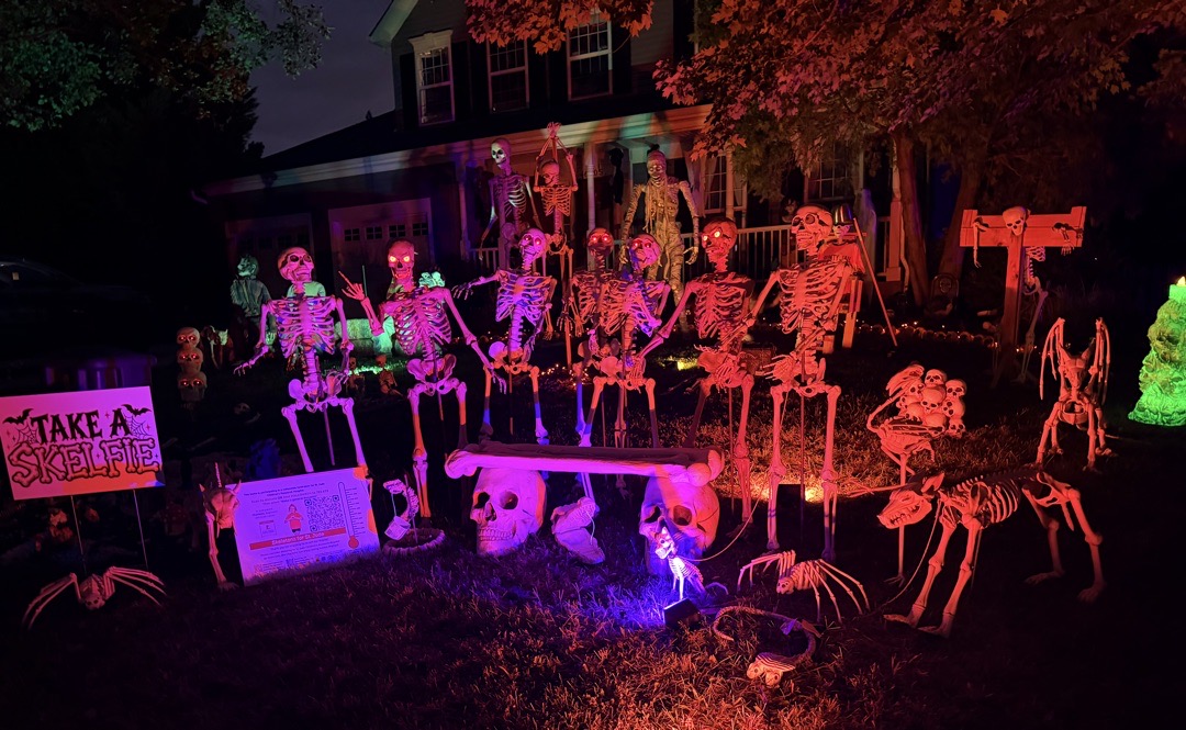 The Skelfie Station