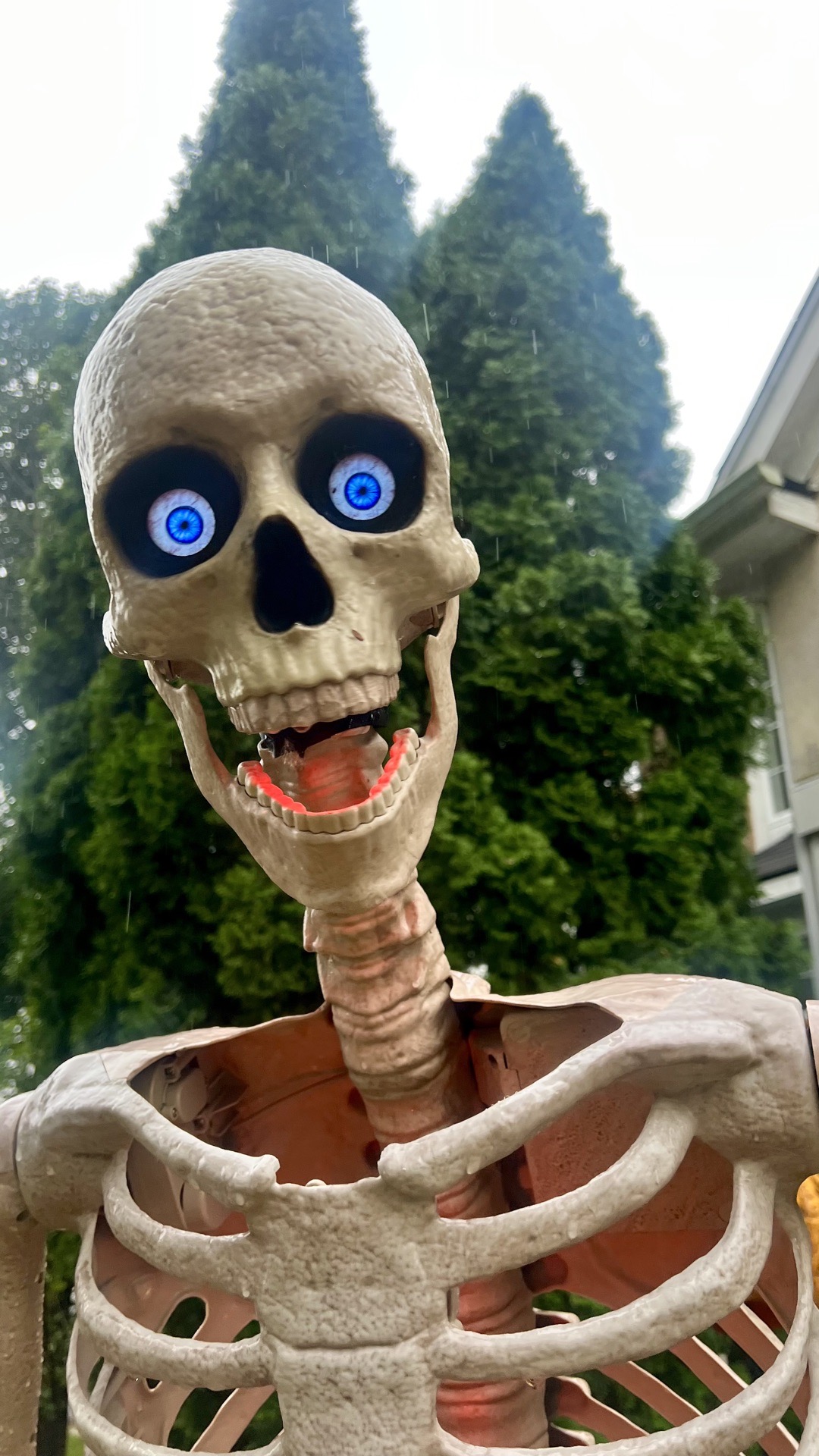 Stockbridge Hollow Halloween Haunt in Carol Stream, Illinois