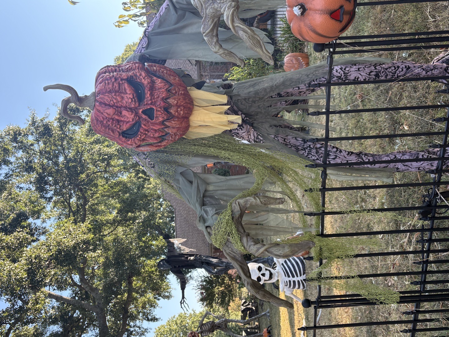 813Fright