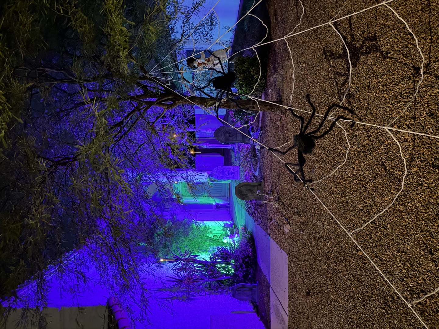 Graveyard House