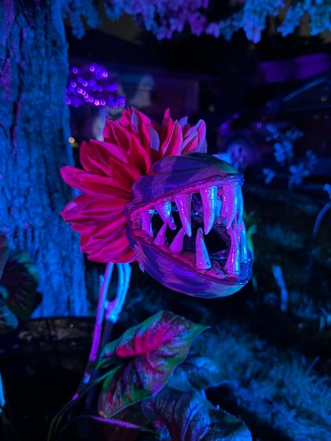 Ghostly Gardens in Ankeny, IA