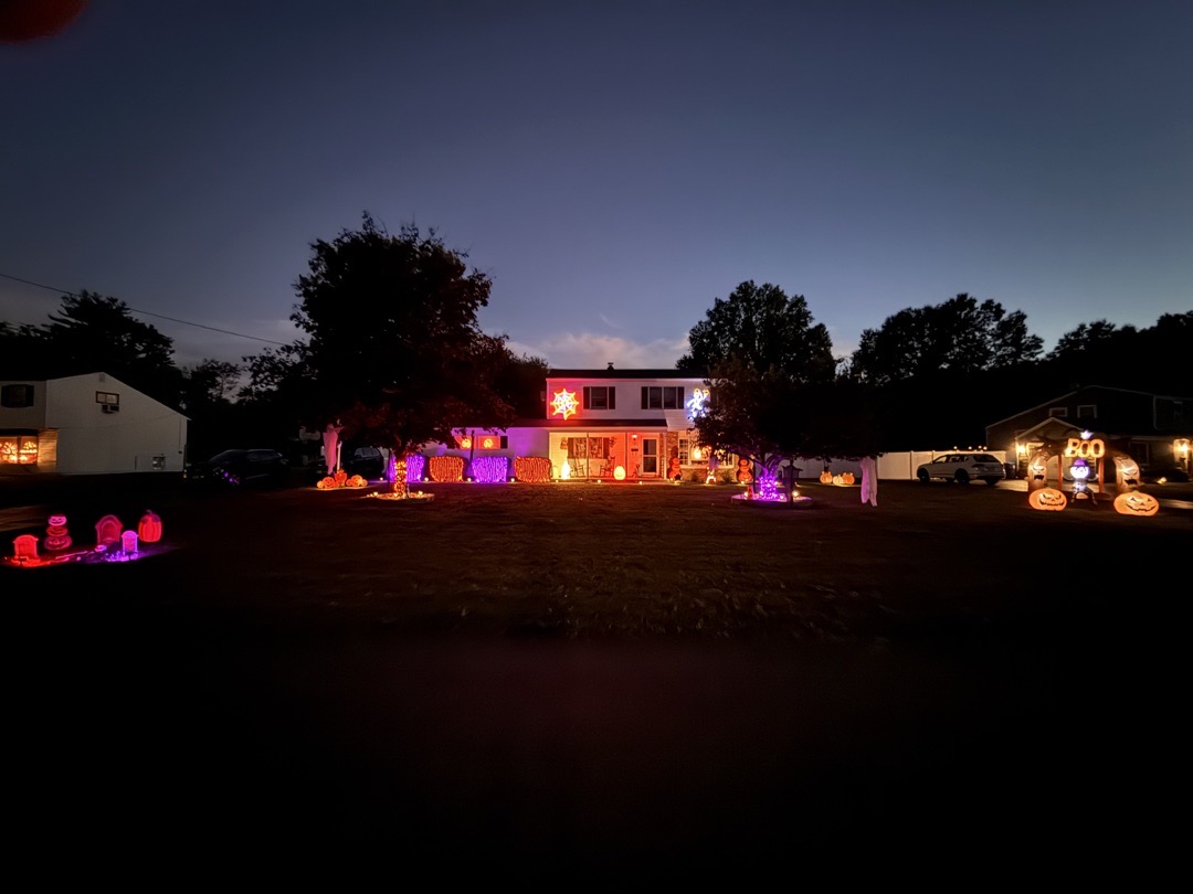 Halloween On Hauser St
