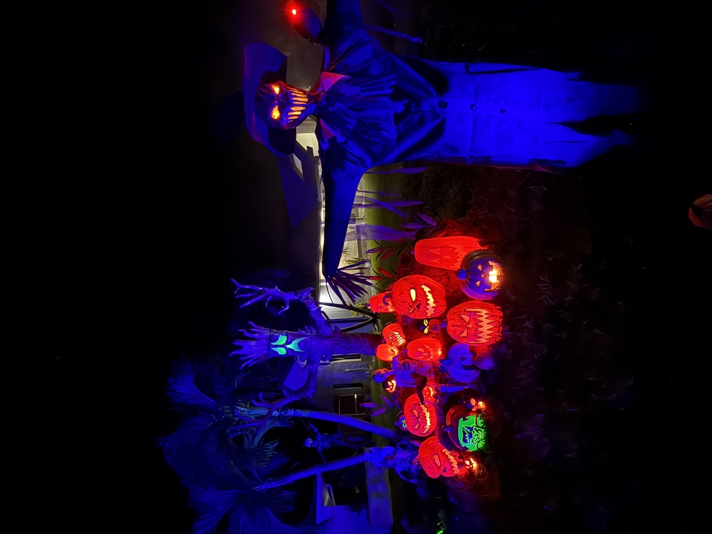 Terror On Savona Drive-Through Haunt in Cape Coral, Florida