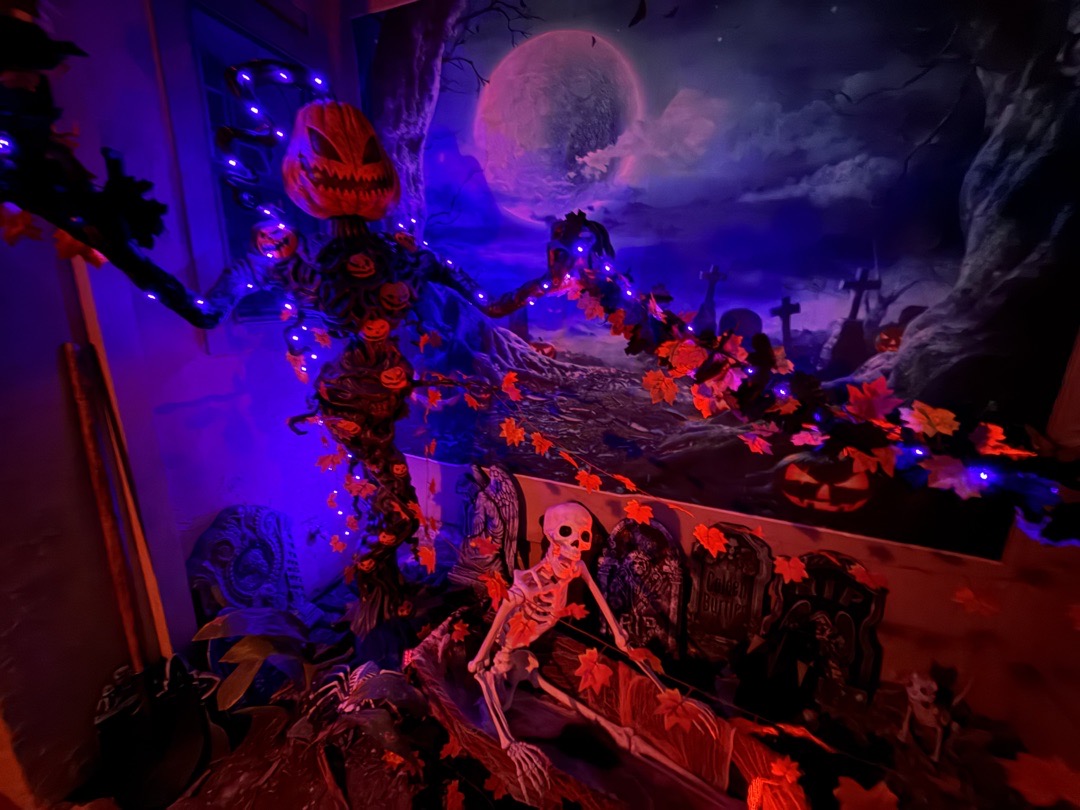 The Possessed Pumpkin Patch (Yard Haunt)