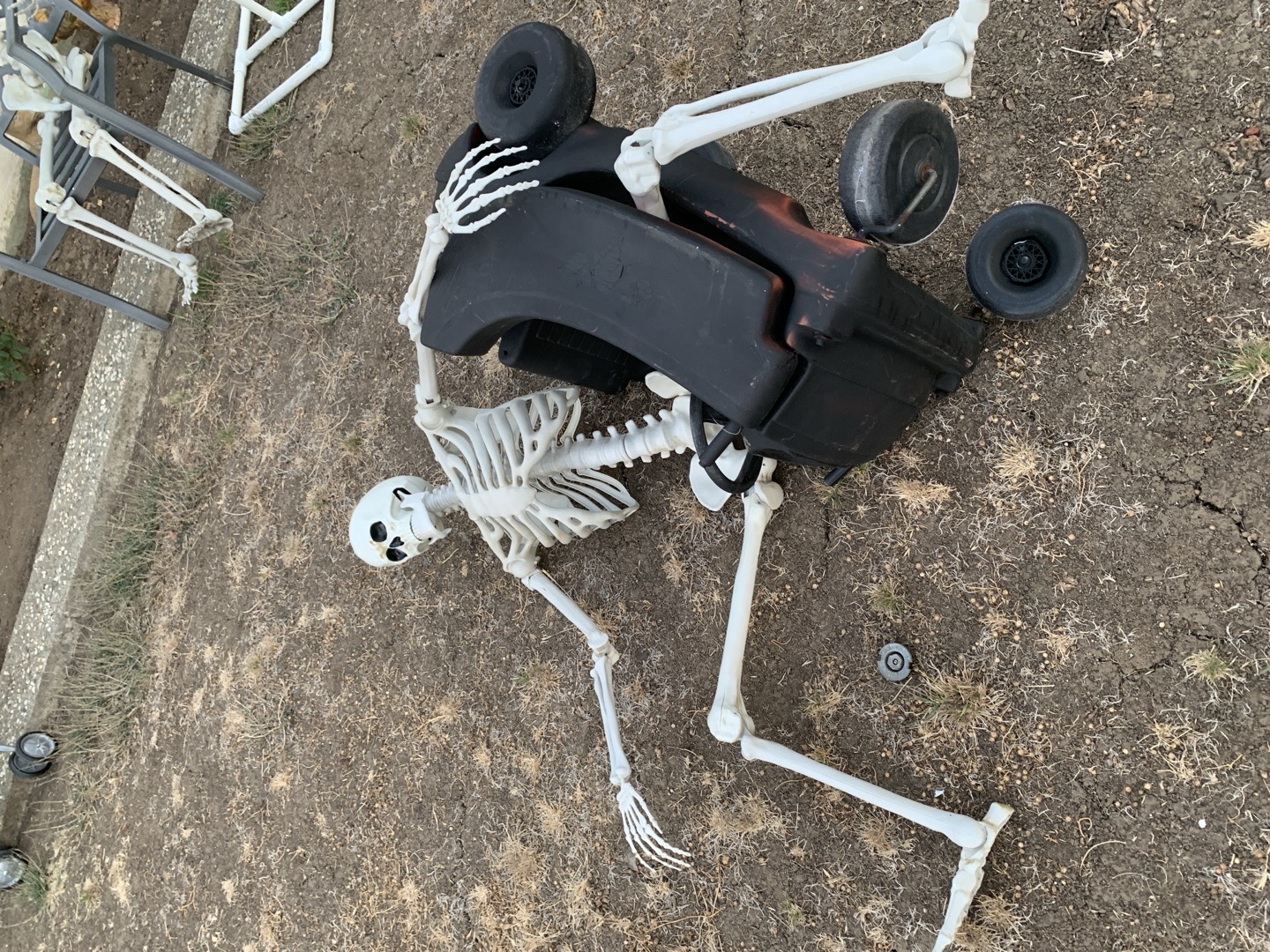 The Skeleton House