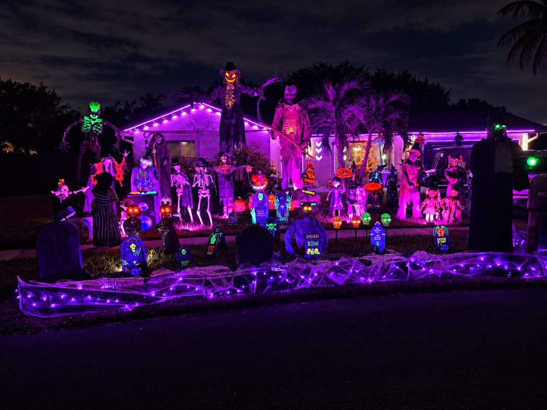 Halloween Fun