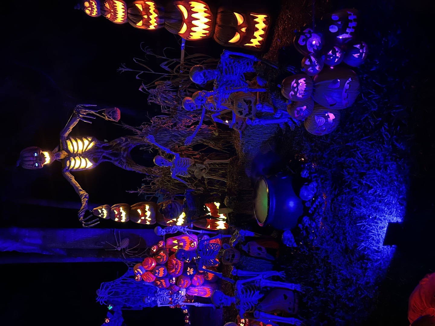 Haunted Harvest in Summerville, SC