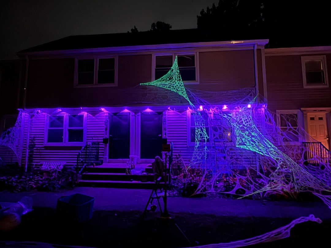 What Webs Beneath in Stoneham, MA