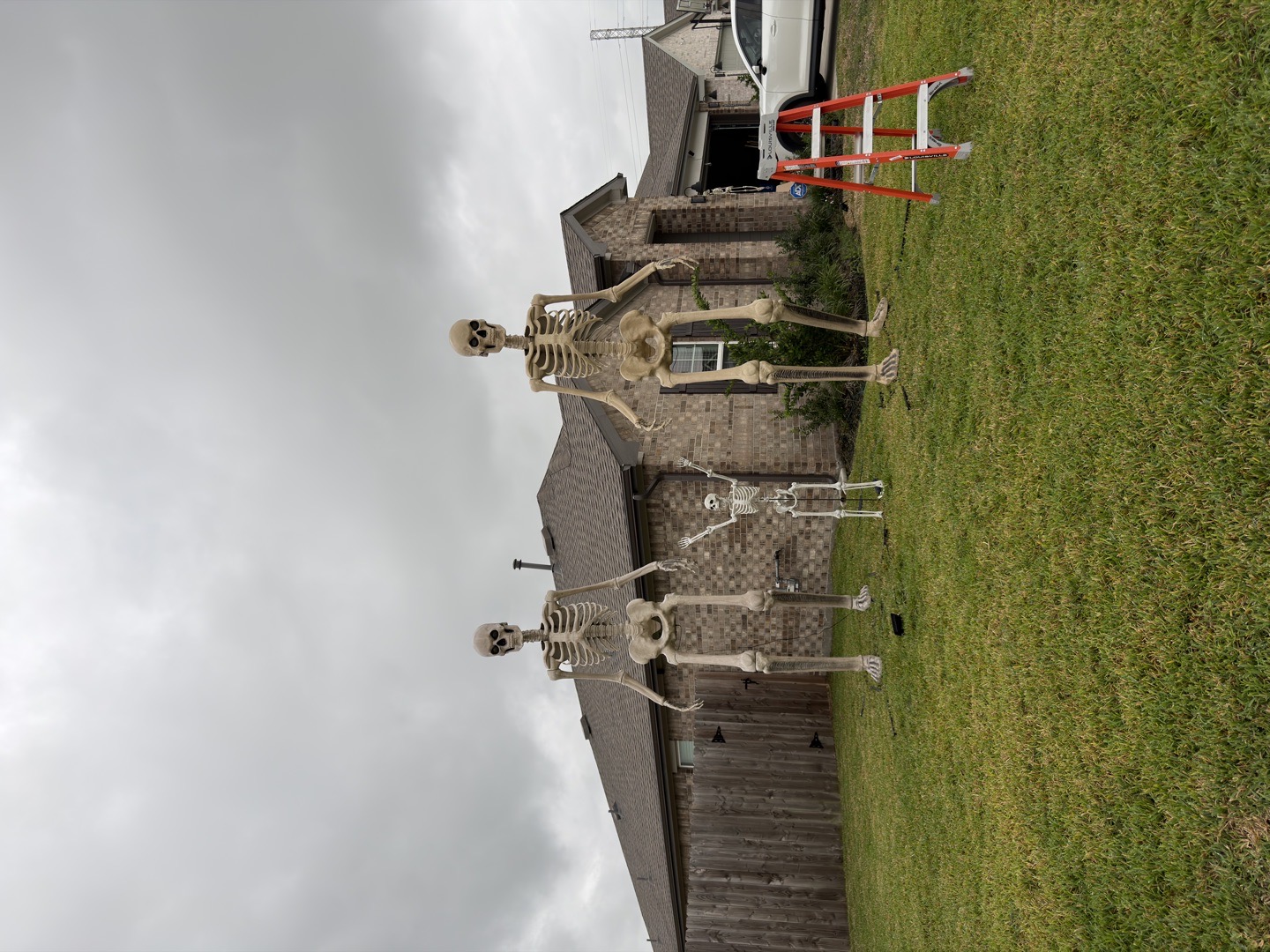 Skelly House