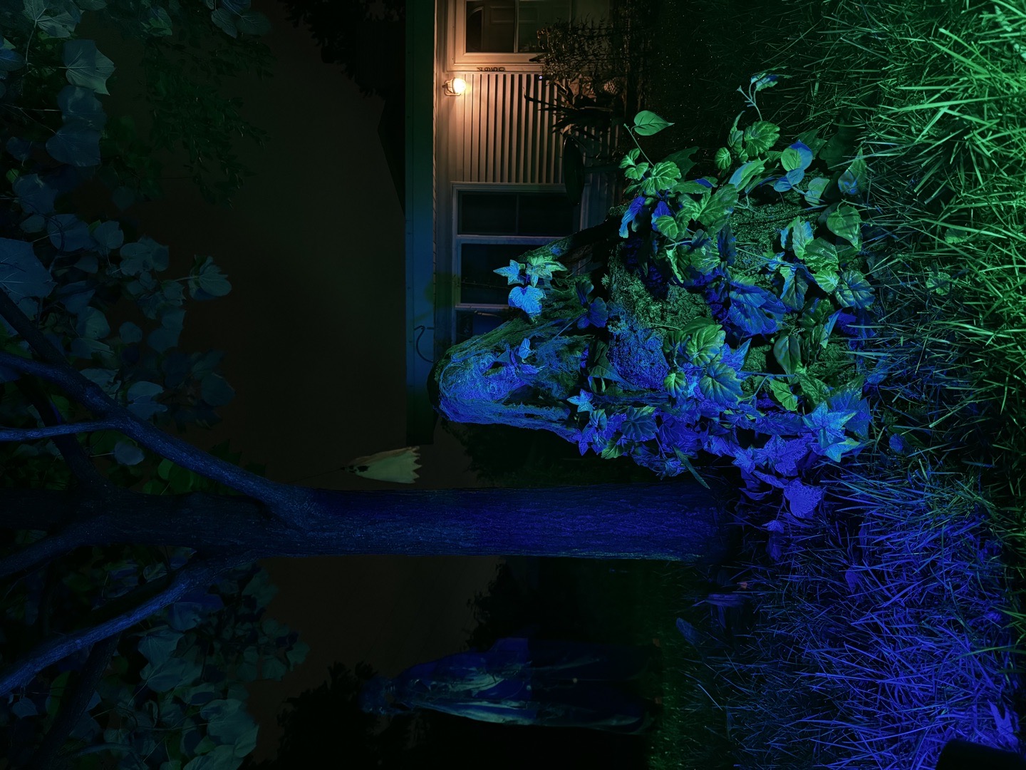 ATMOSFEARS Yard Haunt in Downers Grove, Illinois