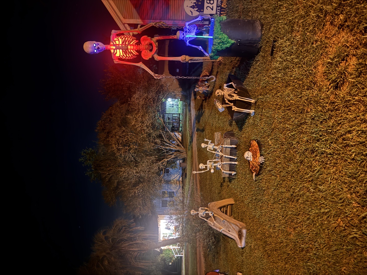 Bony Playground