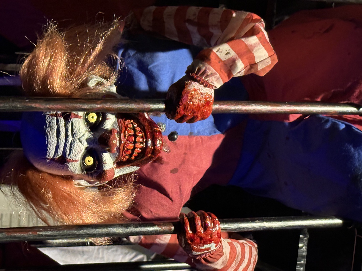The Crazy Camelot Carnival in Clemson, SC