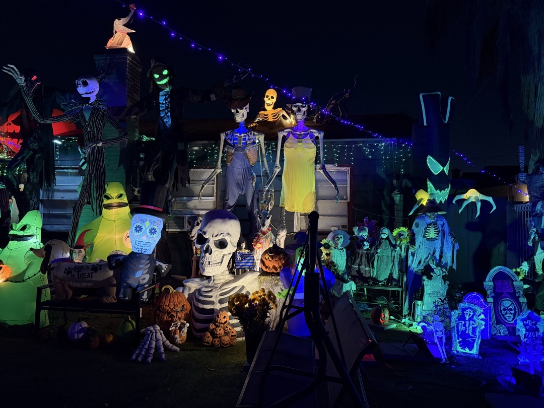 SkellyHouse365