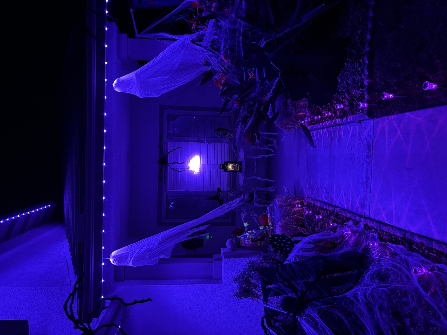 The Violet Veil Porch