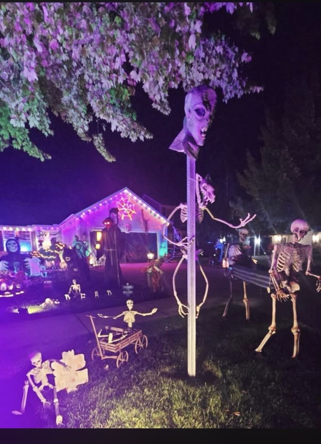 Nightmare On Valdosta 🧛 Drive-Through Haunt in Pontiac, Michigan