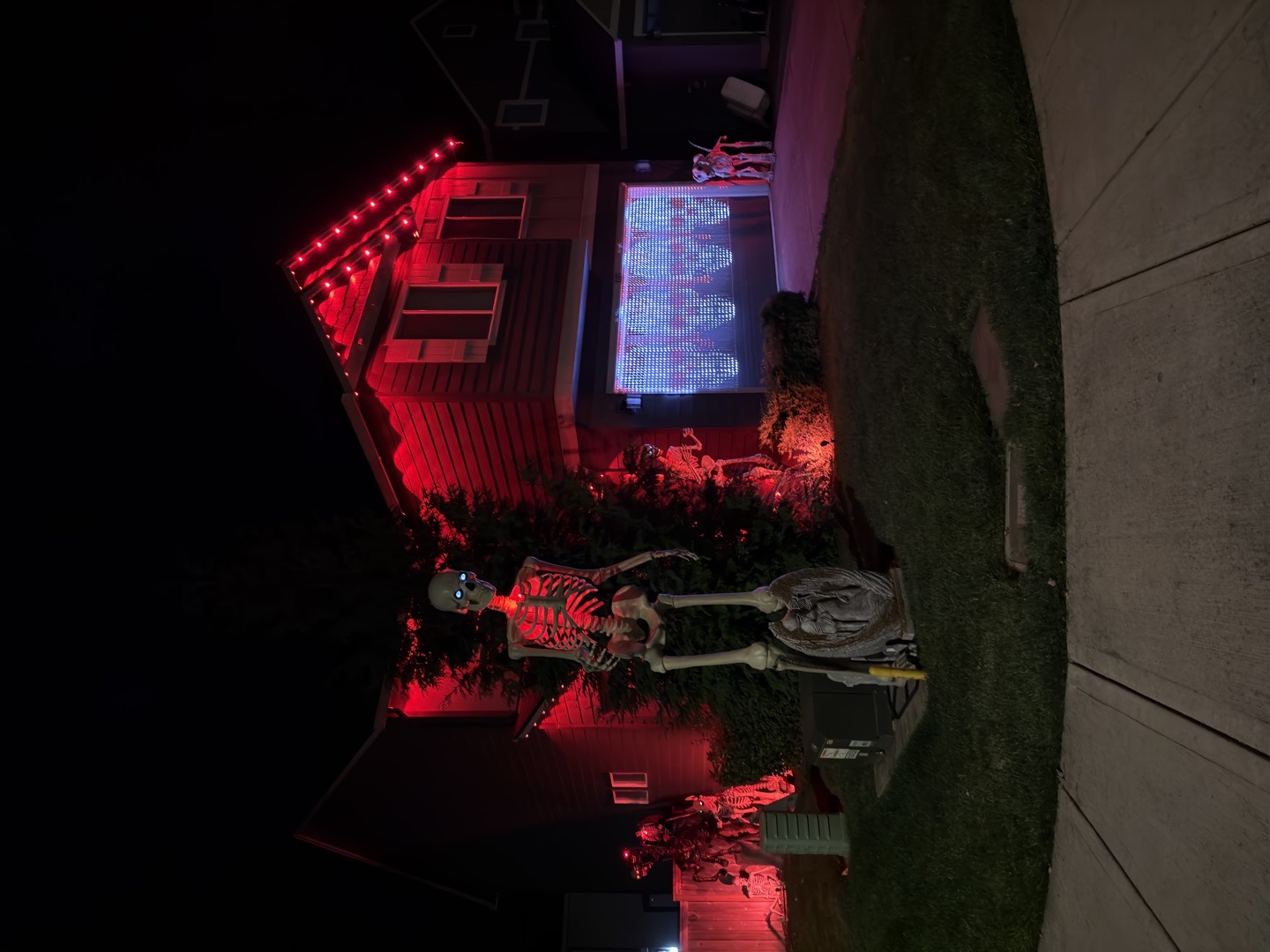 The Skelly House