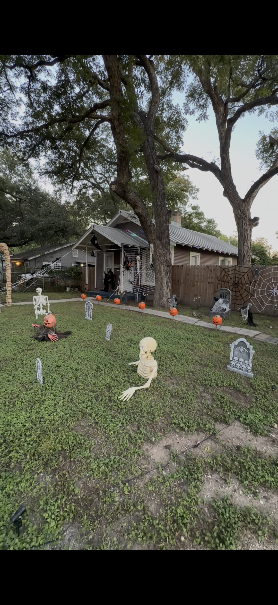 White Tree Graveyard