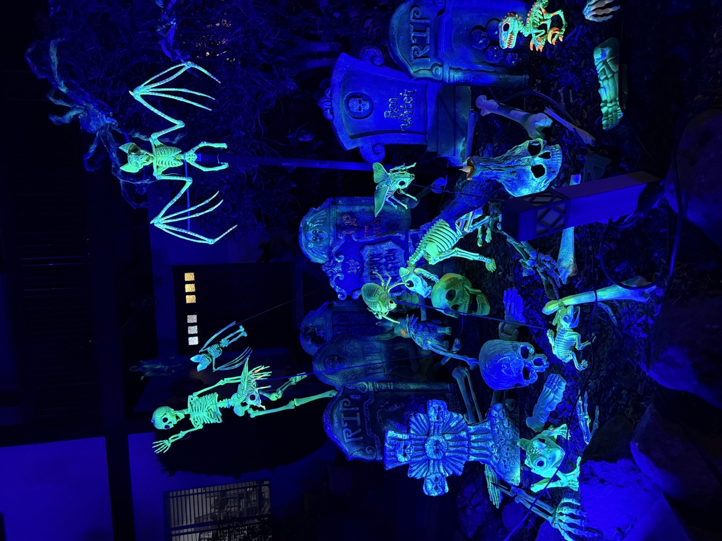 Black light Menagerie Halloween Haunt in Petaluma, California