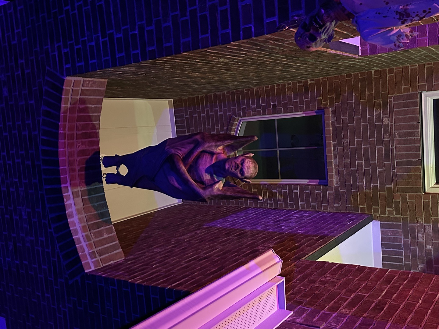 Leauvano halloween house🎃☠️