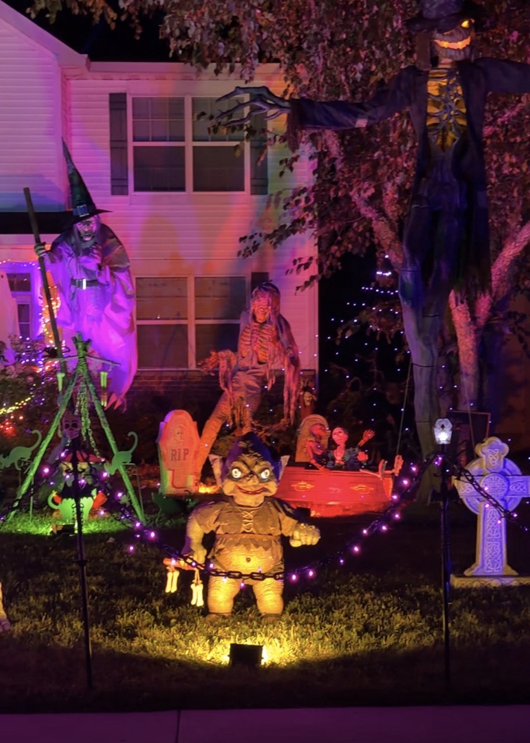 Skeltonnn Witchieee Halloween Display in Woodstock, Illinois