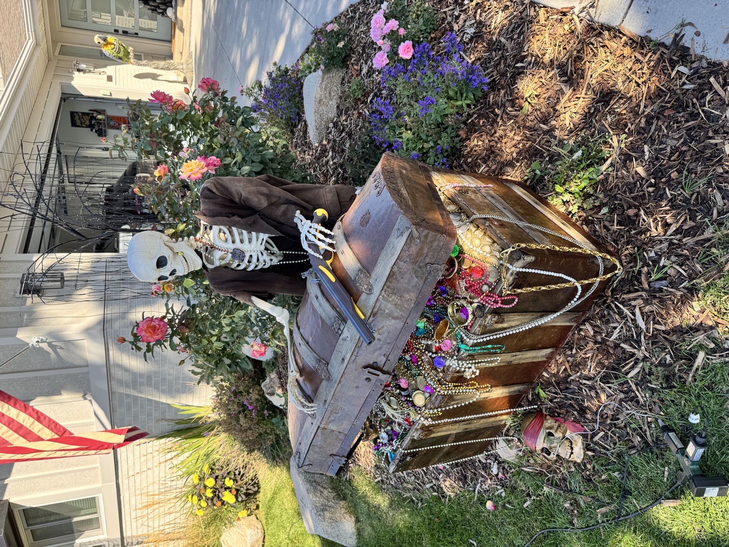 Skeleton Pirate Treasure Yard