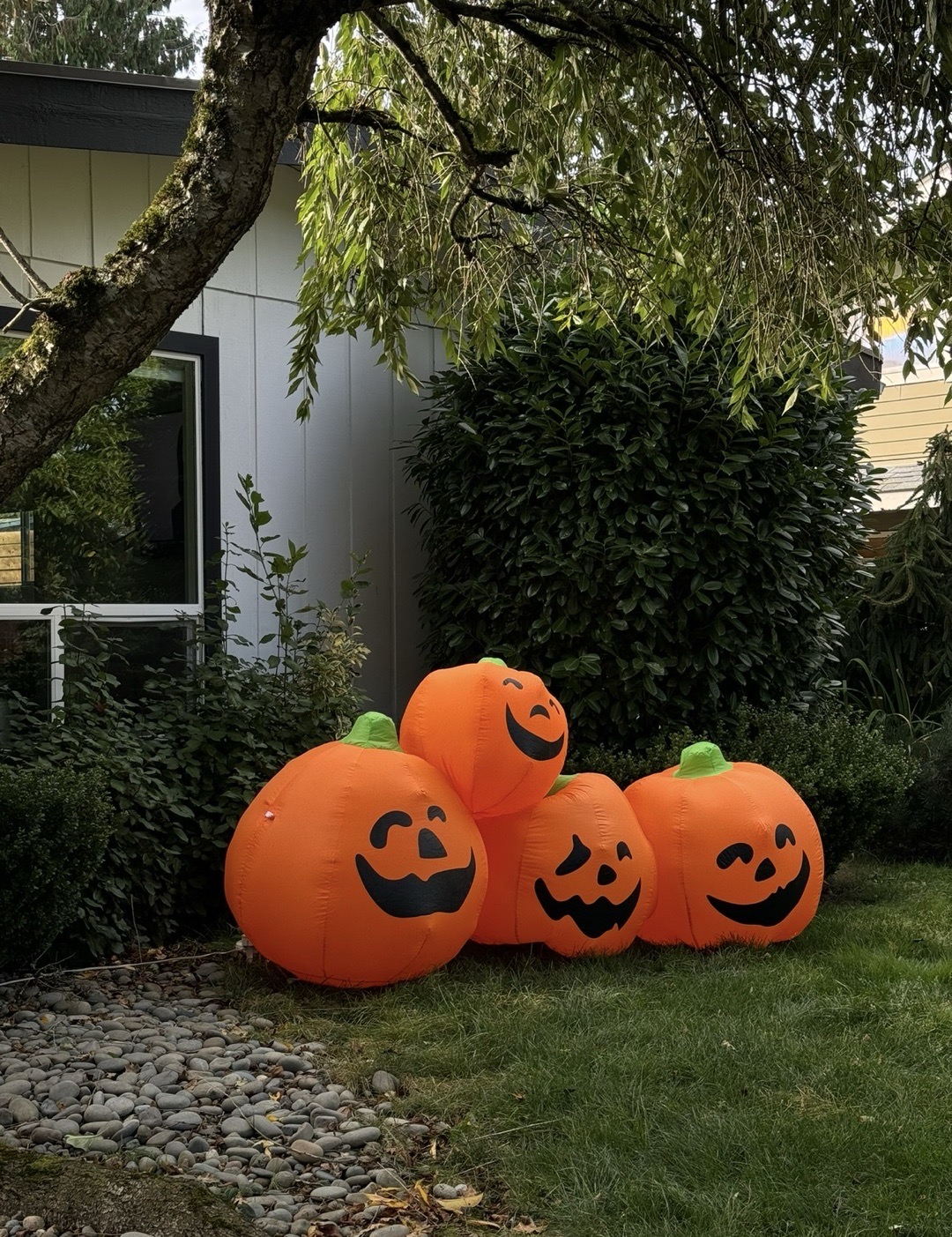 Halloween Candy Stop (FULL SIZE CANDY)