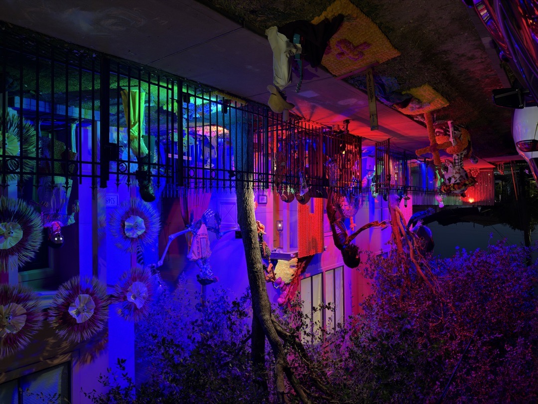 Calle De Los Muertos