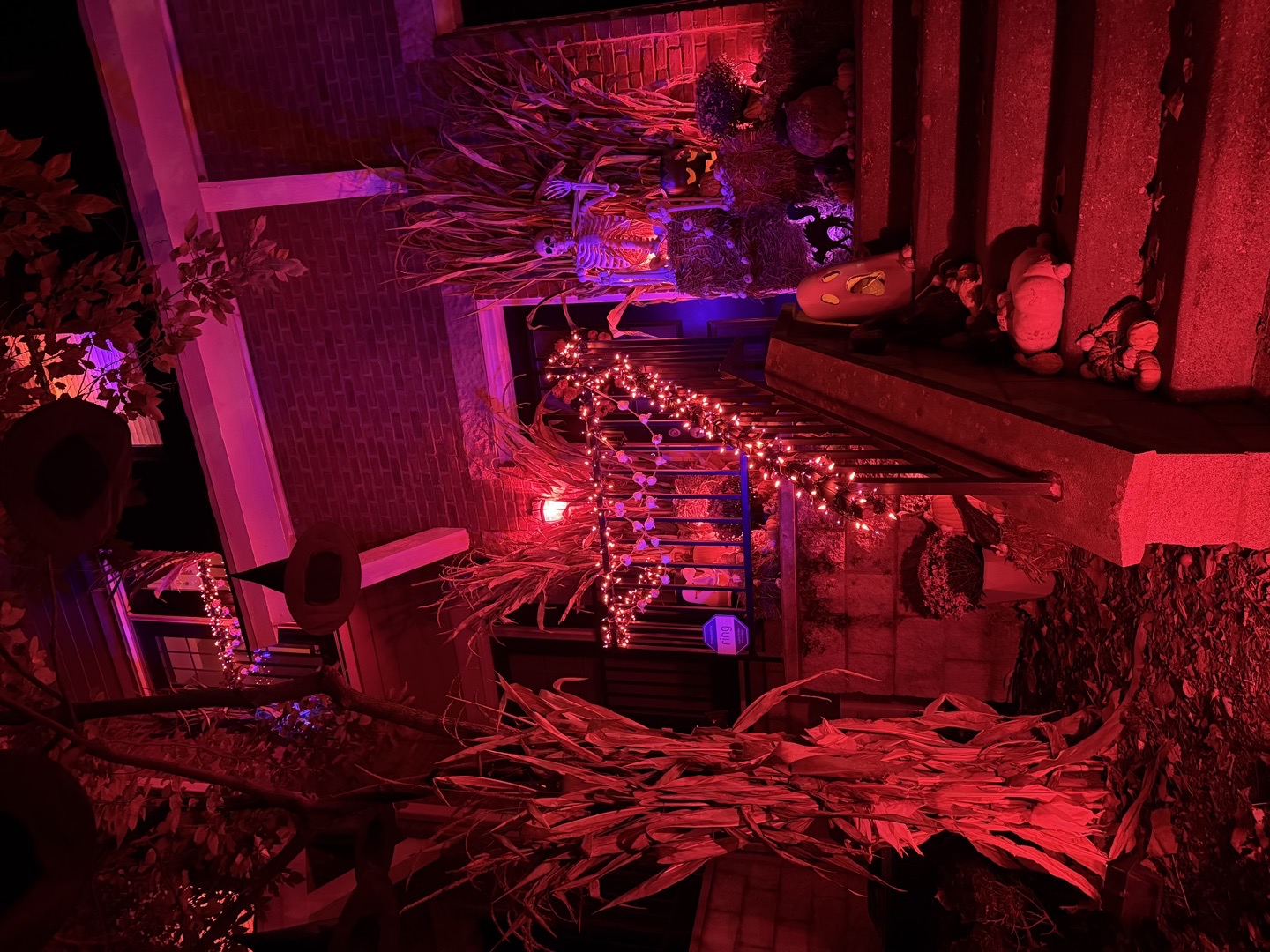 Happy Halloween Everyone! in Indianapolis, Indiana