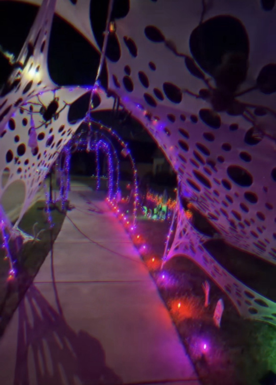 Spooky Scary Skele-Tunnel — halloween haunt in Southaven, MS