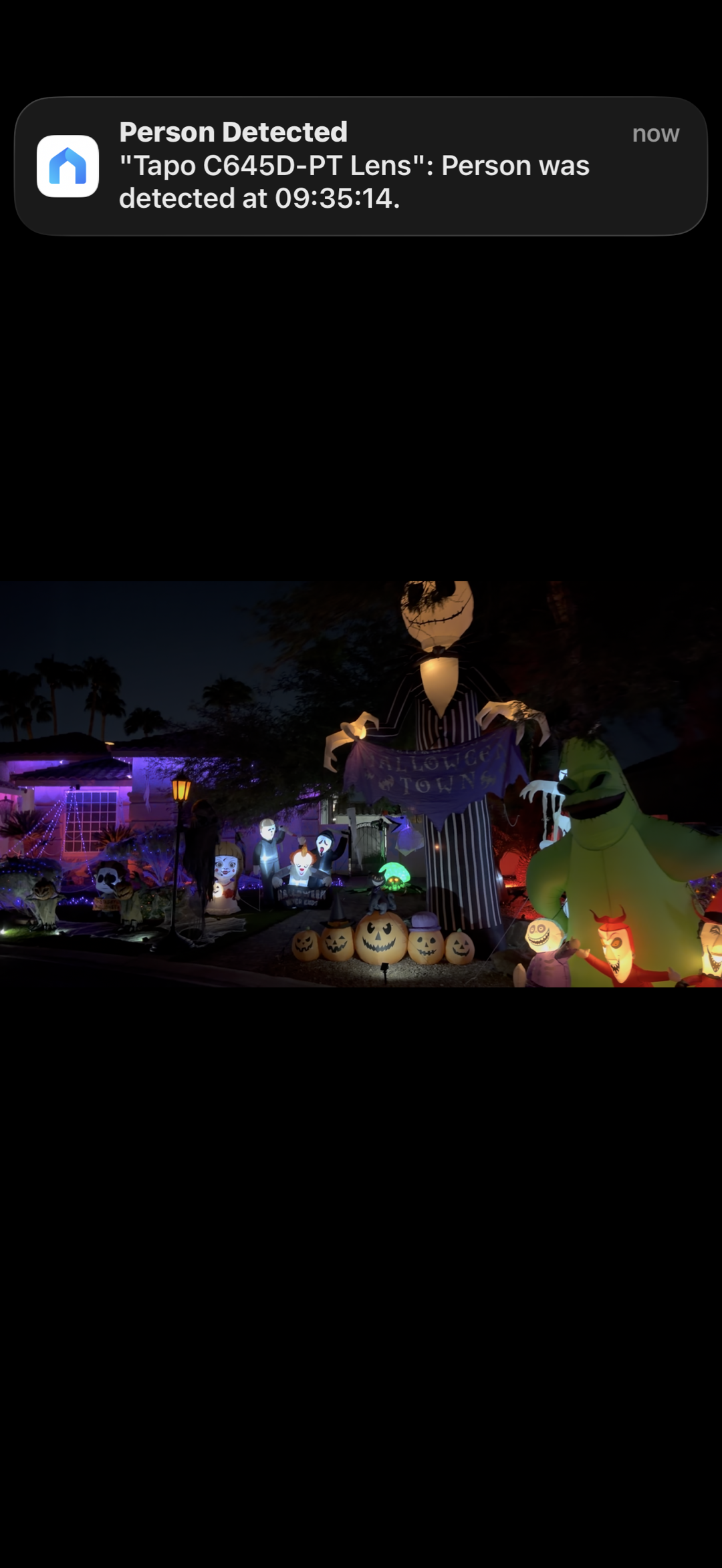 Halloween Fun