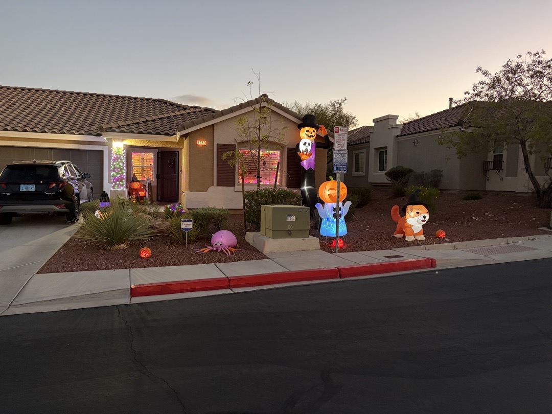 Whimsical Desert Glow