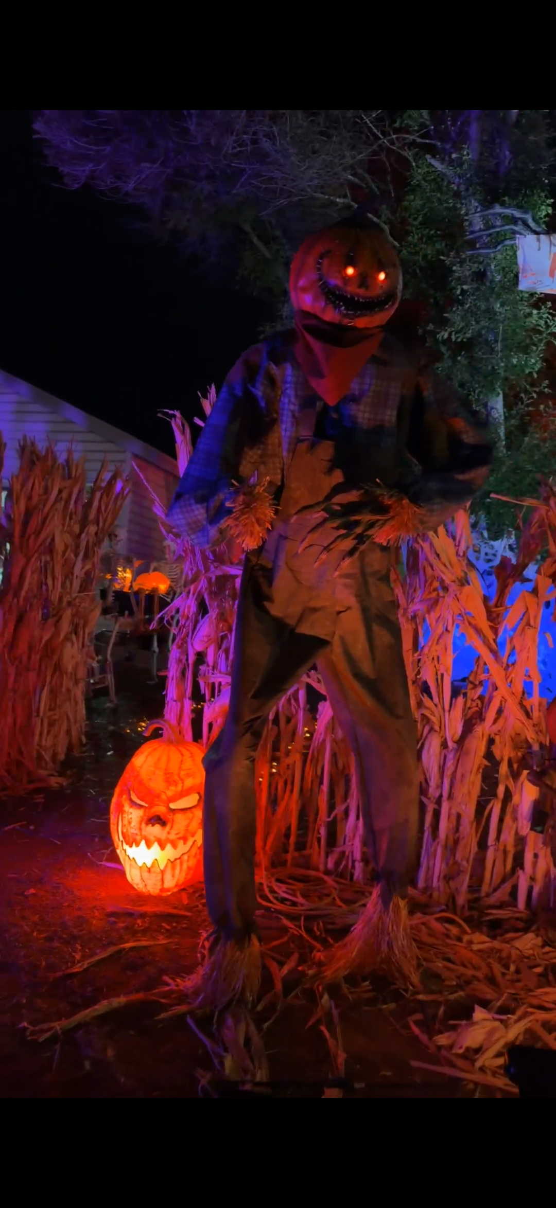 Haunted Grave Yard