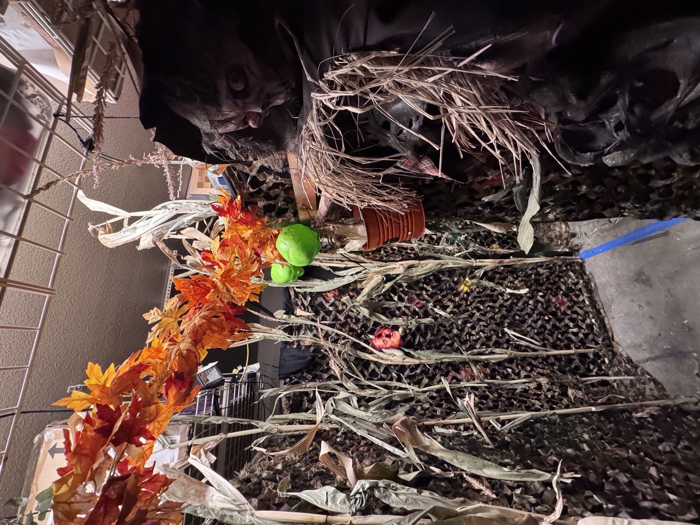 Frighthouse Of The Willows