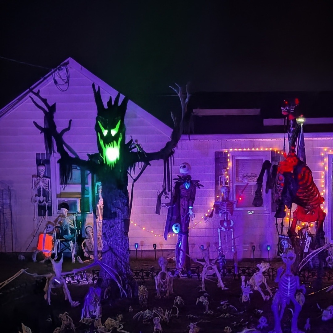 Spooky Scary Skeletons