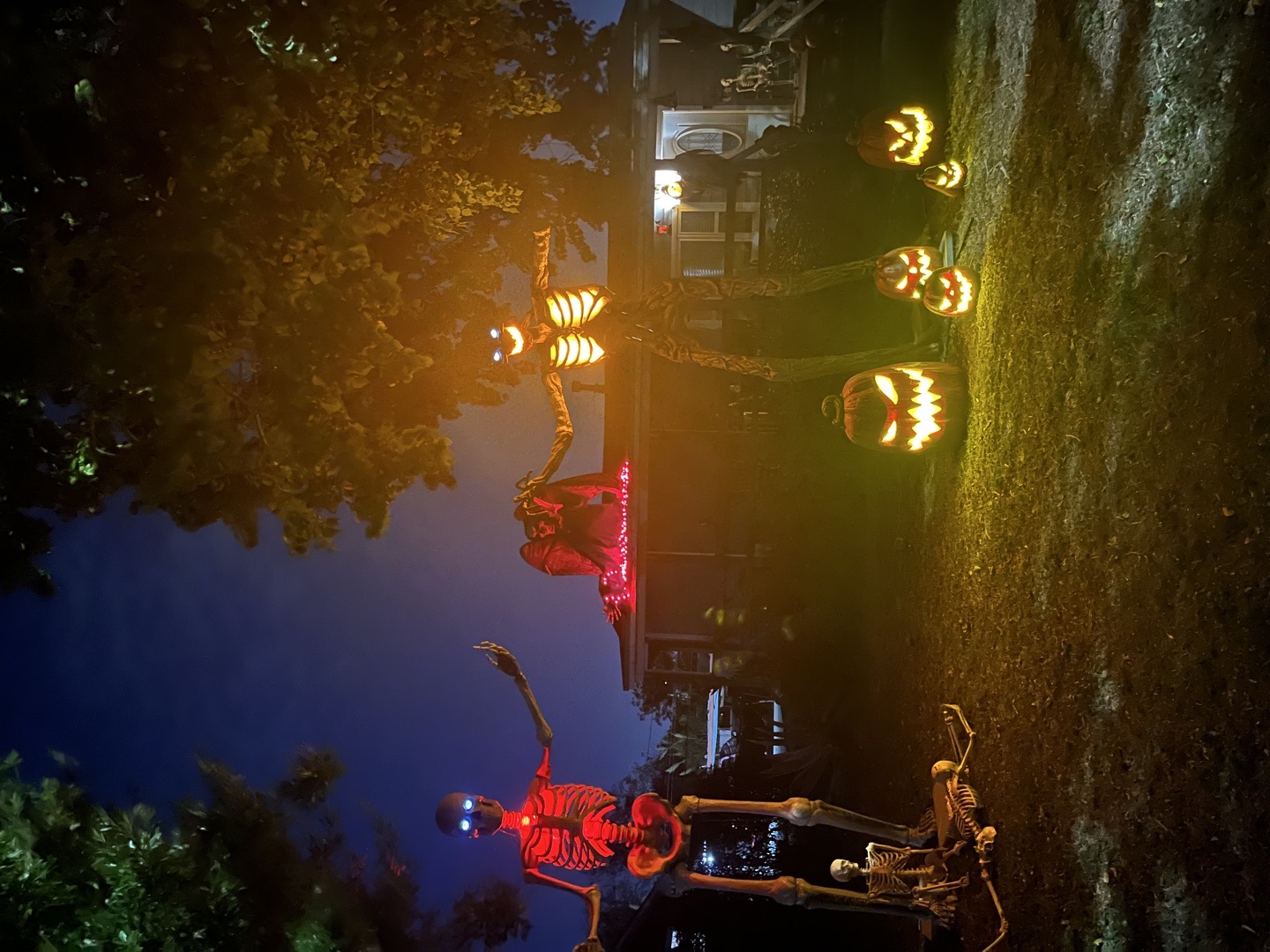 Mr bones & Friends Halloween Haunt in Corpus Christi, Texas