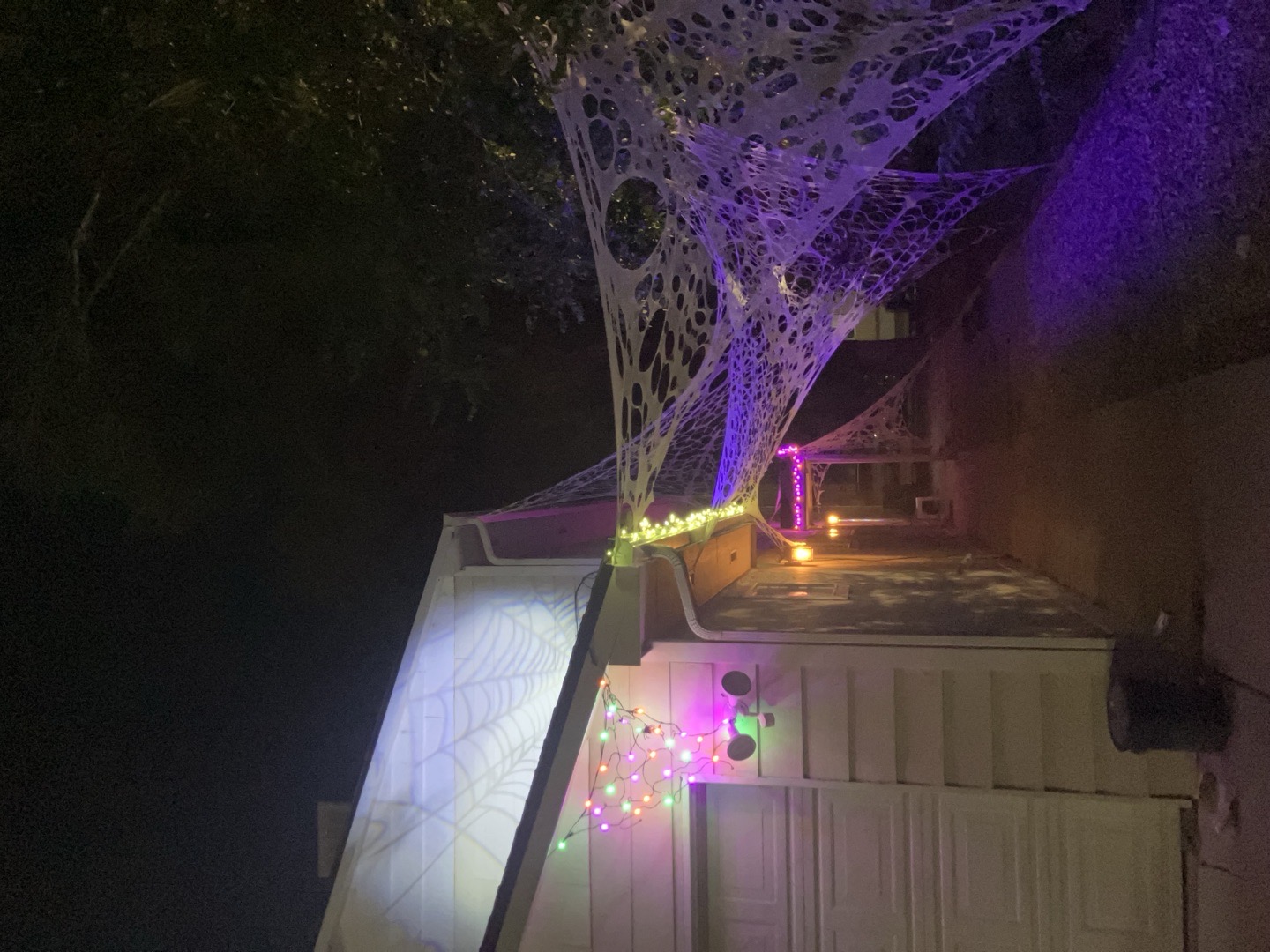 Spooky Spiders 🕸️🕷️ Halloween Haunt in Grand Junction, Colorado