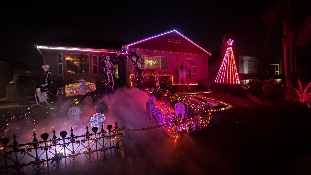 Lights of Wonder