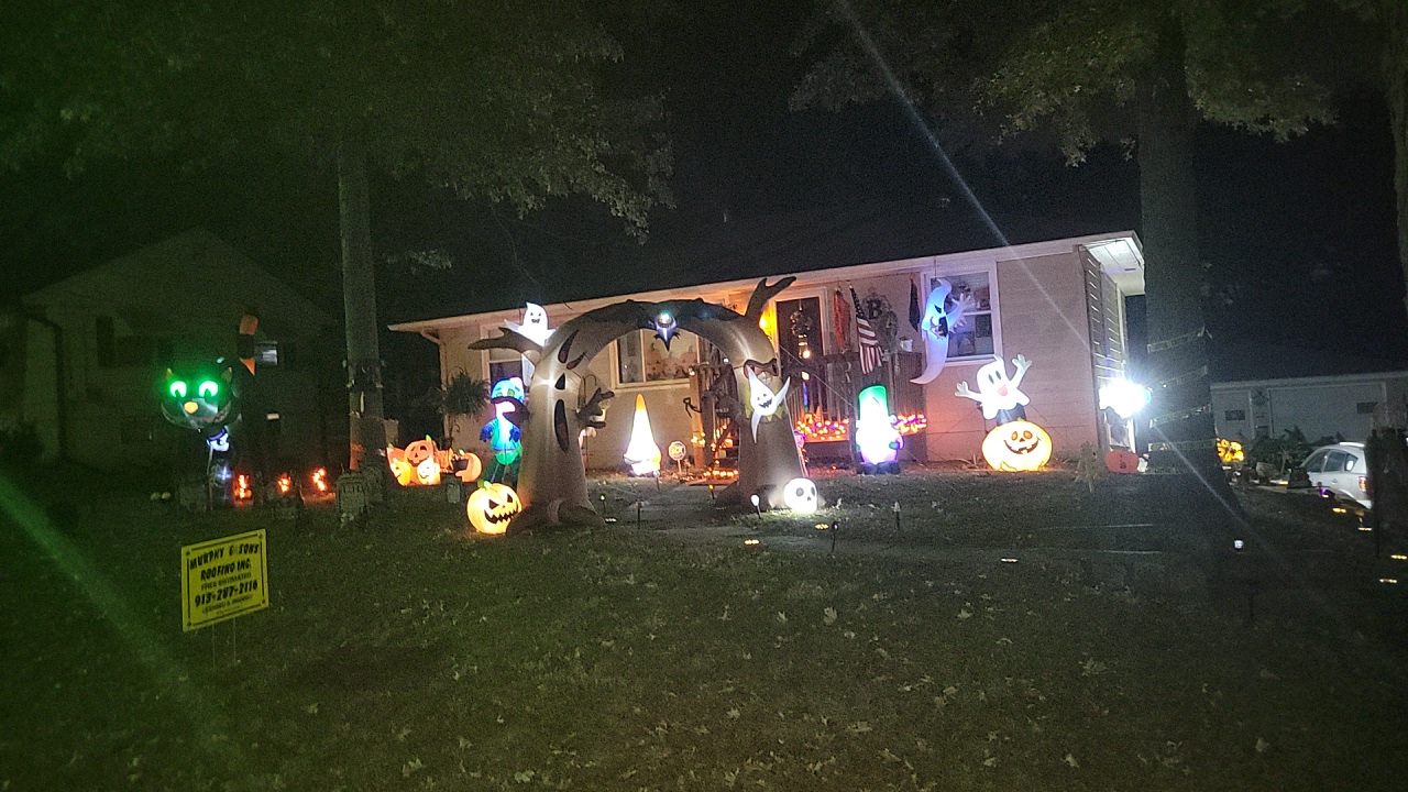 Boo Bunch