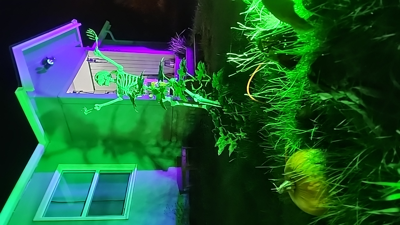 haunted pumpkin patch